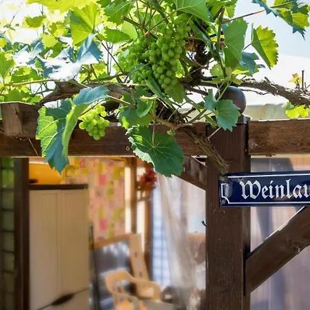 Vogelthenne.1 Grafenau (Bavaria)