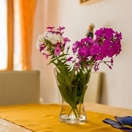 Apartmán Vogelthenne.1
